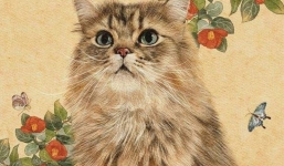 Bước vào tháng 12, top 4 con giáp này lộc bất tận hưởng, may mắn nhân đôi, sự nghiệp bội thu