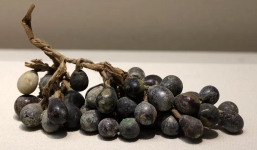  'Chùm nho' khai quật từ ngôi chùa cổ thời Bắc Tống ngàn năm không mục nát, chuyên gia tiết lộ sự thật