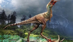 Phát hiện bữa ăn cuối cùng của khủng long 75 triệu năm trước là món khoái khẩu này