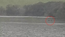 Tiết lộ 'bằng chứng rõ ràng nhất' về sự tồn tại của quái vật hồ Loch Ness gây xôn xao dư luận