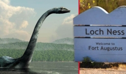 Lịch sử có thật về quái vật hồ Loch Ness, phát hiện mẫu DNA của một sinh vật khổng lồ quen thuộc?