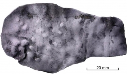 Sởn da gà khi phát hiện tấm bảng có lời nguyền rủa triệu hồi quỷ Satan dưới đáy nhà vệ sinh