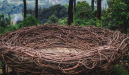 Tận mắt thấy 'tổ chim khổng lồ' rộng 4,5 mét trên vách đá, bất ngờ hơn khi biết thuộc về loài vật này