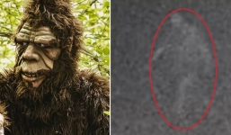 Xem lại ảnh cũ bất ngờ phát hiện khoảnh khắc có quái vật bí ẩn nghi là Bigfoot đi dạo trong đêm