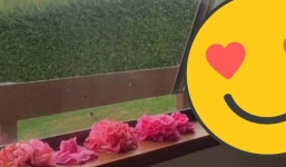 Thấy phòng được rải đầy hoa, người phụ nữ tưởng được chồng tặng nhưng không ngờ lại là nhân vật này