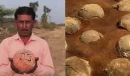  'Quả cầu đá' bí ẩn được nhiều thế hệ vùng nông thôn tôn thờ, chuyên gia tiết lộ sự thật, hóa ra là kho báu có từ 175 triệu năm trước