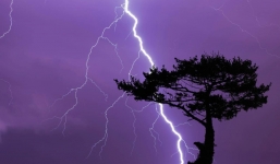 Đứng dưới gốc cây trú mưa, nam thanh niên bị sét đánh, nguyên nhân do món đồ cực giá trị đeo trên người