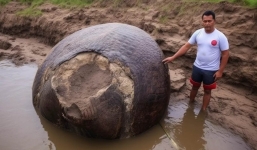 Đi làm đồng, người nông dân phát hiện 'quả trứng' xù xì bí ẩn, tá hỏa khi biết sự thật