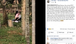 Cặp đôi vô tư thân mật trong di tích lịch sử nổi tiếng ở Hải Phòng gây bức xúc