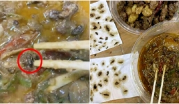 Cô gái hãi hùng khi gắp được 40 con gián trong hộp đồ ăn đặt qua mạng