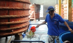 Bộ KH&CN bất ngờ tạm dừng thẩm định dự thảo tiêu chuẩn nước mắm