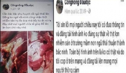 Thanh niên tung tin sai sự thật vụ lợn nhiễm sán ở trường mầm non bị triệu tập