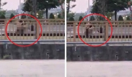 Cặp đôi vô tư 'mây mưa' ngay trên vỉa hè khiến nhiều người bức xúc