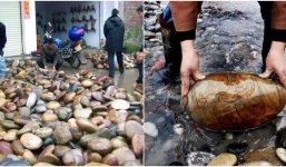 Xôn xao ngôi làng không chịu canh tác, trồng trọt mà chỉ nhặt đá kiếm tiền mỗi ngày