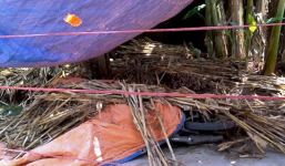 Hai vụ án mạng xảy ra cùng một lúc ở Nghệ An khiến người dân xôn xao