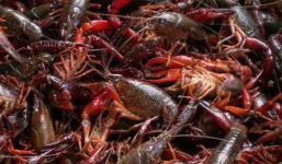 Tin tức thời sự 24h mới nhất, nóng nhất ngày 20/5/2019