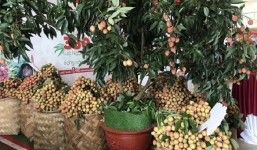 Tin tức kinh doanh 24h nóng nhất, mới nhất ngày 29/5/2019