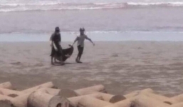 Xác định danh tính thi thể mất đầu ở bờ biển Nam Định