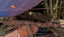 Vụ em họ sát hại anh rồi giấu xác: Công an xác định nguyên nhân