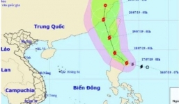 Tin tức thời sự 24h mới nhất, nóng nhất ngày 17/7/2019