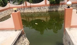 Trượt chân ngã xuống ao, chị tử vong, em nguy kịch