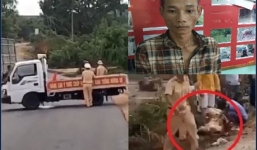 Tình tiết mới nhất vụ xe chở gỗ tông vào tổ CSGT ở Gia Lai