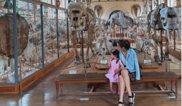 Tăng Thanh Hà lại tiếp tục làm điều này với con gái sau sự cố lộ mặt