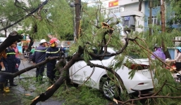 Hà Nội mưa giông giật đổ nhiều cây xanh, một người tử vong