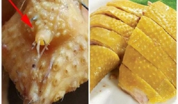 Bỏ qua ngay những bộ phận cực độc của vịt, gà, lợn nếu không muốn mang bệnh vào người
