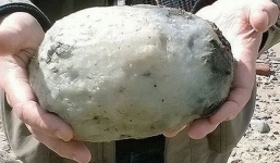 Ngư dân trúng mánh lớn với gần 69 tỷ đồng vì nhặt được khối đá dị dạt vào bờ biển