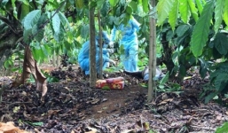 Xác định nghi phạm sát hại cô gái rồi giấu thi thể trong rẫy cà phê