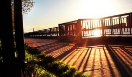 Chuyên gia Mỹ: 'Khó kết luận virus corona sẽ suy yếu trong thời tiết ấm'