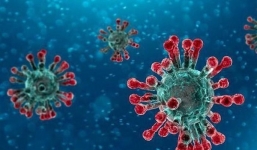 Bộ Y tế lý giải về việc WHO đổi tên virus gây dịch bệnh COVID-19 thành SARS-CoV-2 