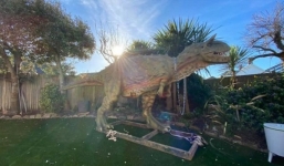 Mua đồ chơi cho con, người đàn ông tá hỏa khi hàng được chuyển đến nhà