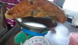 Thu rác bên bờ biển, một người đàn ông bất ngờ 'vớ' được báu vật hơn 2 tỷ đồng