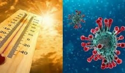 WHO: Virus corona có thể tiếp tục lây lan cả trong mùa hè