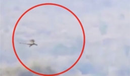 Xuất hiện con vật khổng lồ bay lượn trên bầu trời: Nhiều người nghi là rồng?