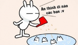 1001 status 'thả thính' cực hài hước khi ở nhà chống dịch Covid-19