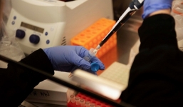 WHO cảnh báo các nước không điều trị bệnh nhân COVID-19 bằng thuốc chưa chứng minh