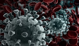 Các nhà khoa học đã tìm ra điểm yếu trong lớp màng của virus corona