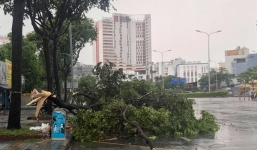 Mưa lớn ở TP HCM khiến một số cây xanh bật gốc, gãy cành chắn ngang đường