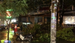 Thêm một vụ cây xanh gãy đè chết người chạy xe máy ngang qua