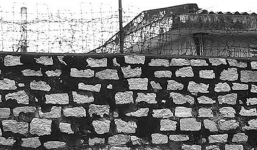 Vụ vượt ngục khó tin của Huy 'nấm độc': Lên kế hoạch đào thoát tỉ mỉ