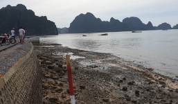 Xác định danh tính nạn nhân vụ ô tô lao xuống biển ở Quảng Ninh