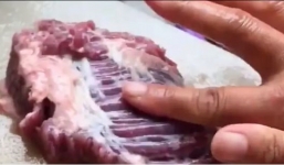 Mua được miếng thịt sống về, một nghệ sĩ thấy điều kỳ lạ xảy ra ngay sau đó