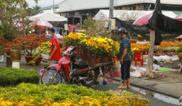 Sở Công thương TPHCM kêu gọi người dân giải cứu hoa Tết Đà Lạt