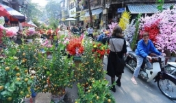 Tin tức nóng nhất 24h: TPHCM kêu gọi người dân giải cứu hoa Tết, Thời tiết đêm Giao thừa tạnh ráo