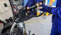 Giá xăng dầu hôm nay ngày 15/12: Đồng loạt giảm mạnh