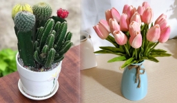 4 loại hoa để phòng khách năm 2022 sẽ phá hủy tài lộc, sức khỏe: Top 1 là biểu tượng tình yêu