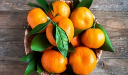 8 loại quả cúng Thần Tài cầu tài lộc: 3 thứ cấm kỵ bỏ ngay trong năm 2022